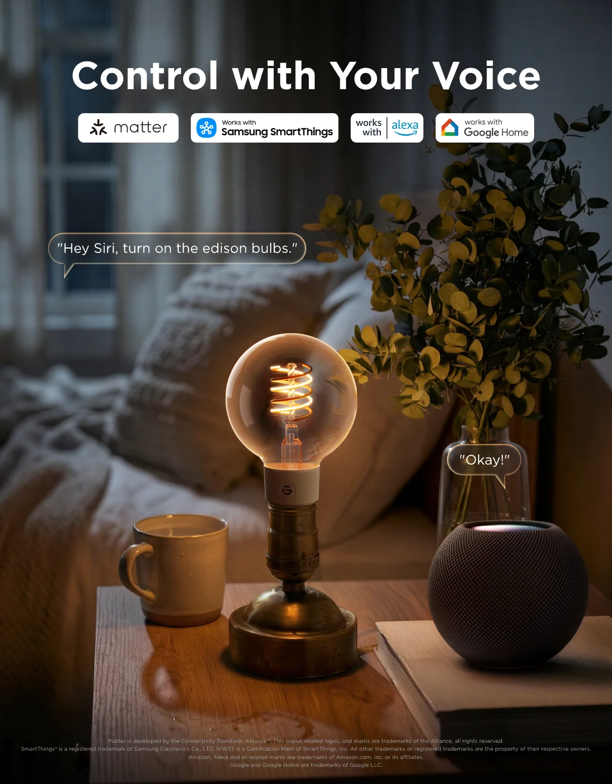 Govee E26 Smart Edison Light Bulb G25 500lm - Image 4