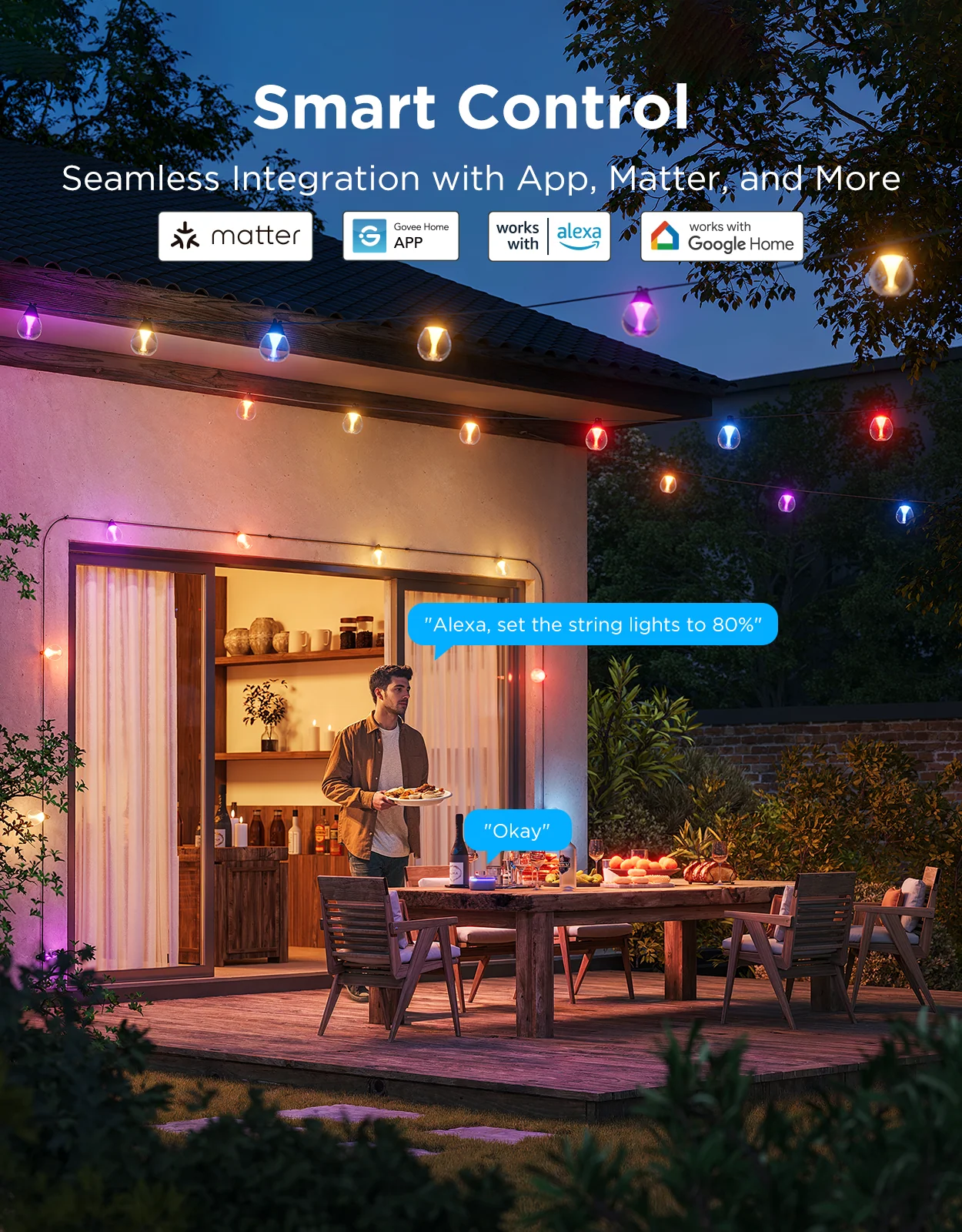 Govee Outdoor Clear Bulb String Lights - Image 22