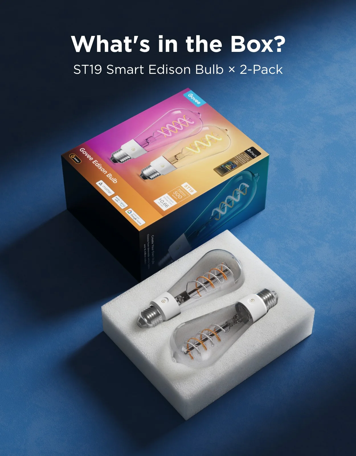 Govee E26 Smart Edison Light Bulb ST19 500lm - Image 9